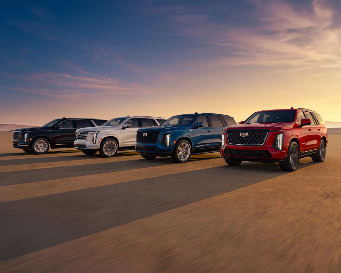 Late-model vehicles on a scenic road